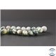 Perles en agate arbre - Rondes/10mm