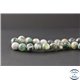 Perles en agate arbre - Rondes/10mm