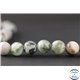 Perles en agate arbre - Rondes/10mm