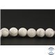 Perles en howlite - Rondes/8mm