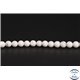 Perles en howlite - Rondes/4mm