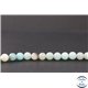 Perles en amazonite - Rondes/6mm