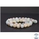 Perles en amazonite - Rondes/8mm