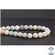 Perles en amazonite - Rondes/8mm