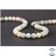 Perles en amazonite - Rondes/8mm