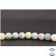 Perles en amazonite - Rondes/8mm