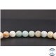 Perles en amazonite - Rondes/8mm