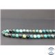 Perles en chrysocolle - Rondes/6mm - Grade AB+