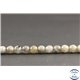 Perles facettées en labradorite de Madagascar - Rondes/6mm - Grade AB