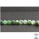 Perles en agate vert d'eau - Rondes/8mm - Grade A