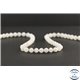 Perles facettées en pierre de Lune arc en ciel du Sri Lanka - Rondes/6mm - Grade A