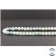Perles facettées en amazonite de Brésil - Rondes/6mm - Grade A