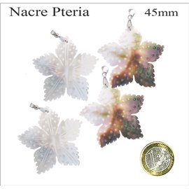 Pendentifs en Nacre - Fleur/45 mm - Beige