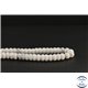 Perles en howlite - Roues/8mm