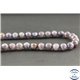 Perles en iolite sanguine du Sri Lanka - Rondes/8mm - Grade A+