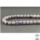 Perles en iolite sanguine du Sri Lanka - Rondes/8mm - Grade A+