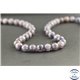 Perles en iolite sanguine du Sri Lanka - Rondes/8mm - Grade A+
