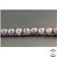 Perles en iolite sanguine du Sri Lanka - Rondes/8mm - Grade A+