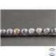 Perles en iolite sanguine du Sri Lanka - Rondes/8mm - Grade A+