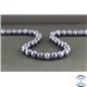 Perles en saphir du Sri Lanka - Rondes/8mm - Grade A