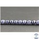 Perles en saphir du Sri Lanka - Rondes/8mm - Grade A