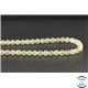 Perles en tectite de Libye - Rondes/6mm - Grade AA