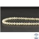 Perles en tectite de Libye - Rondes/6mm - Grade AA
