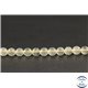 Perles en tectite de Libye - Rondes/6mm - Grade AA