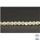 Perles en tectite de Libye - Rondes/6mm - Grade AA