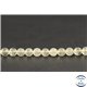 Perles en tectite de Libye - Rondes/6mm - Grade AA