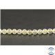 Perles en tectite de Libye - Rondes/6mm - Grade AA