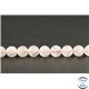 Perles en pierre de Lune rose du Sri Lanka - Rondes/8mm - Grade AA