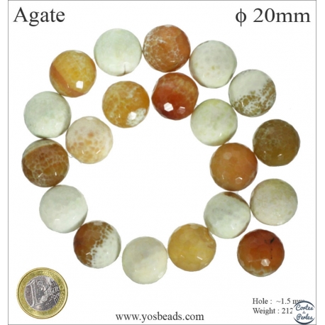 Perles semi précieuses en agate - Ronde/20 mm - Beige
