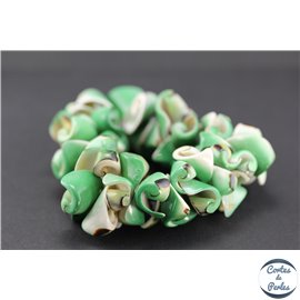 Bracelets en coquillages - Vert