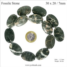 Semi précieuses perles de fossile - Ovale/30 mm - Vert