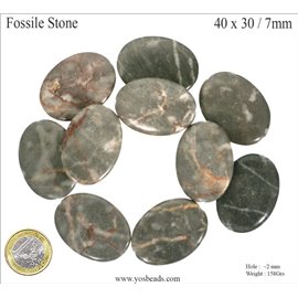 Semi précieuses perles de fossile - Ovale/40 mm - Gris