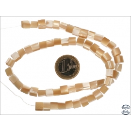 Perles en nacre - Cubes/5 mm - Miel clair