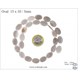Perles en Nacre - Ovale/15 mm - Blanc