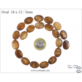 Perles en Nacre - Ovale/18 mm - Marron