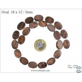 Perles en Nacre - Ovale/18 mm - Marron
