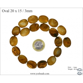 Perles en Nacre - Ovale/20 mm - Marron