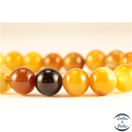 Perles semi précieuses en Agate - Rondes/10 mm - Miel