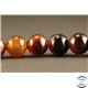 Perles semi précieuses en Agate - Rondes/10 mm - Marron