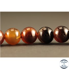 Perles en agate marron - Rondes/10mm