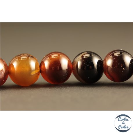 Perles semi précieuses en Agate - Rondes/10 mm - Marron