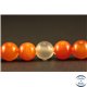 Perles semi précieuses en Agate - Rondes/8 mm - Rouge Orangé