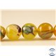 Perles semi précieuses en agate - Rondes/10 mm - Multicolore