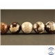 Perles semi précieuses en Agate - Rondes/10 mm - Café au Lait