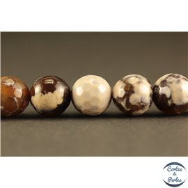 Perles semi précieuses en Agate - Rondes/10 mm - Café au Lait