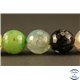 Perles semi précieuses en Agate - Rondes/10 mm - Multicolore